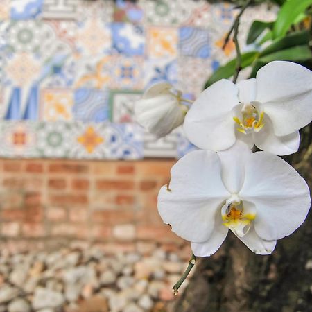 Mercatto Casa Hotel Boutique Porto Seguro Exteriör bild